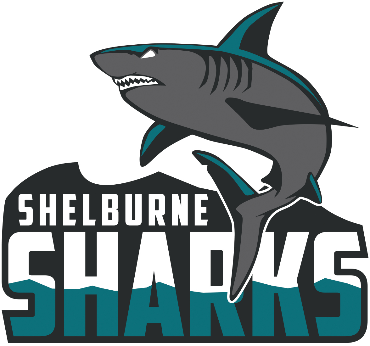 Shelburne Sharks 2015-Pres Primary Logo iron on transfers for clothing